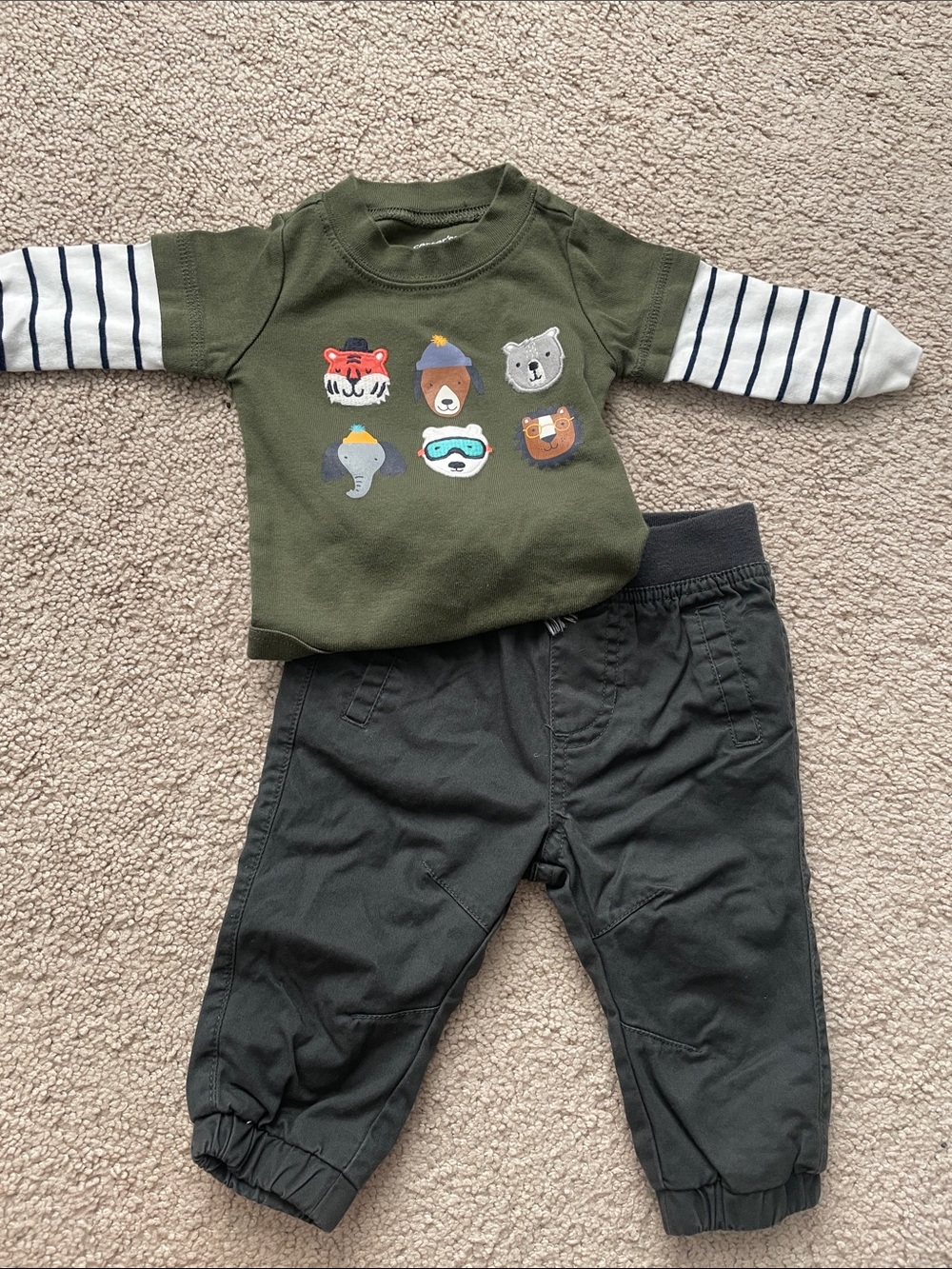 Green Infant Two-Piece Outfit with Animal Patch Sweatshirt